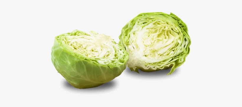 White Ornamental Cabbage Png Jpg Royalty Free - Sauerkraut Png, transparent png #942666