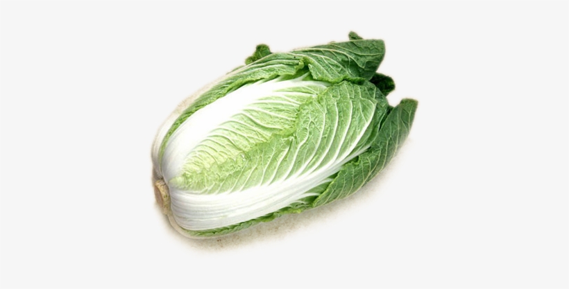 Cabbage Png Icon - Chinese Cabbage Transparent Background, transparent png #942735