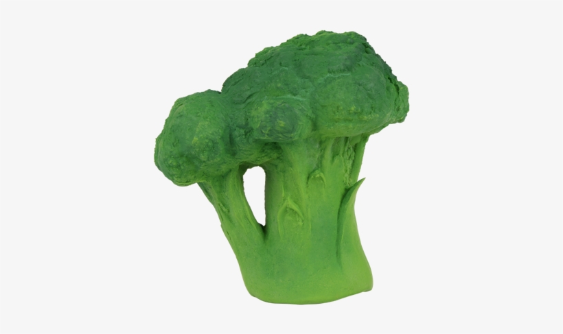 Broccoli Teether - Oli & Carol Oli & Carol Bijt-, transparent png #942756