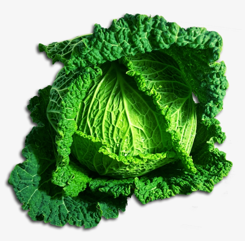 Green Cabbage Png - Hd Vegetable Png Clipart, transparent png #942757