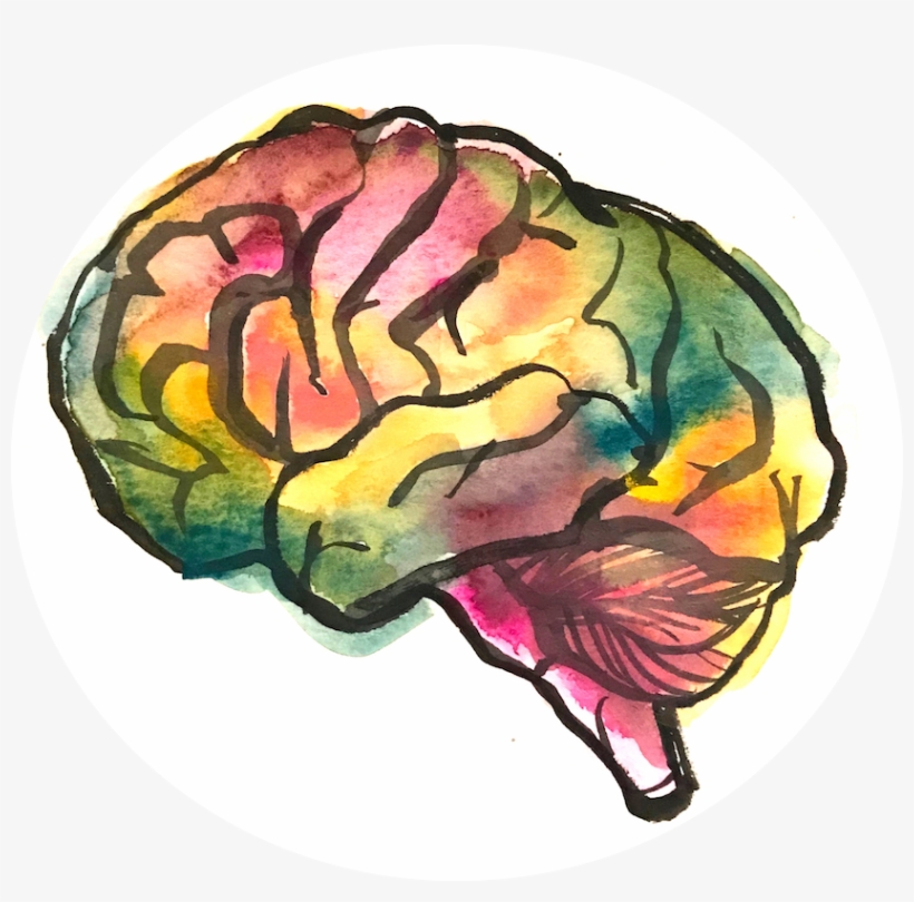 Smbrain - Illustration, transparent png #942824
