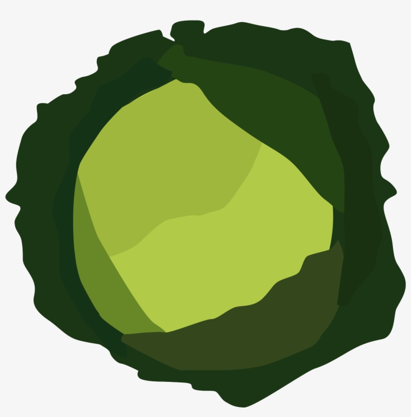 Cabbage Vector Cabage - Cabbage Png Vector, transparent png #943184