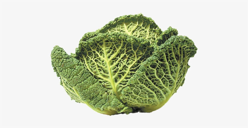 Savoy-cabbage - Kale, transparent png #943205