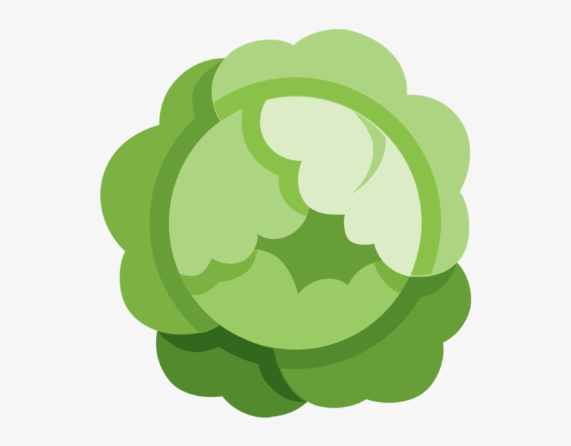 Cabbageco, transparent png #943240