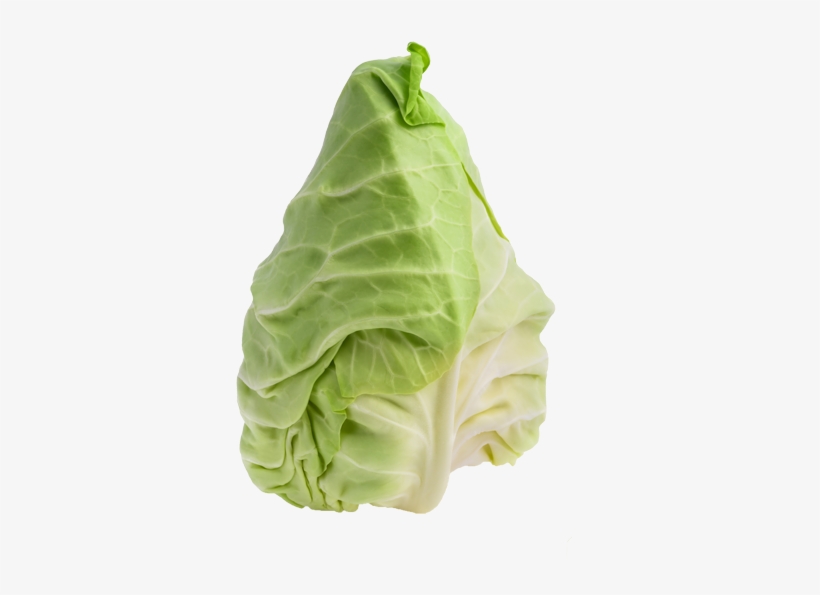 Pointed Cabbage - Pointed White Cabbage, transparent png #943573