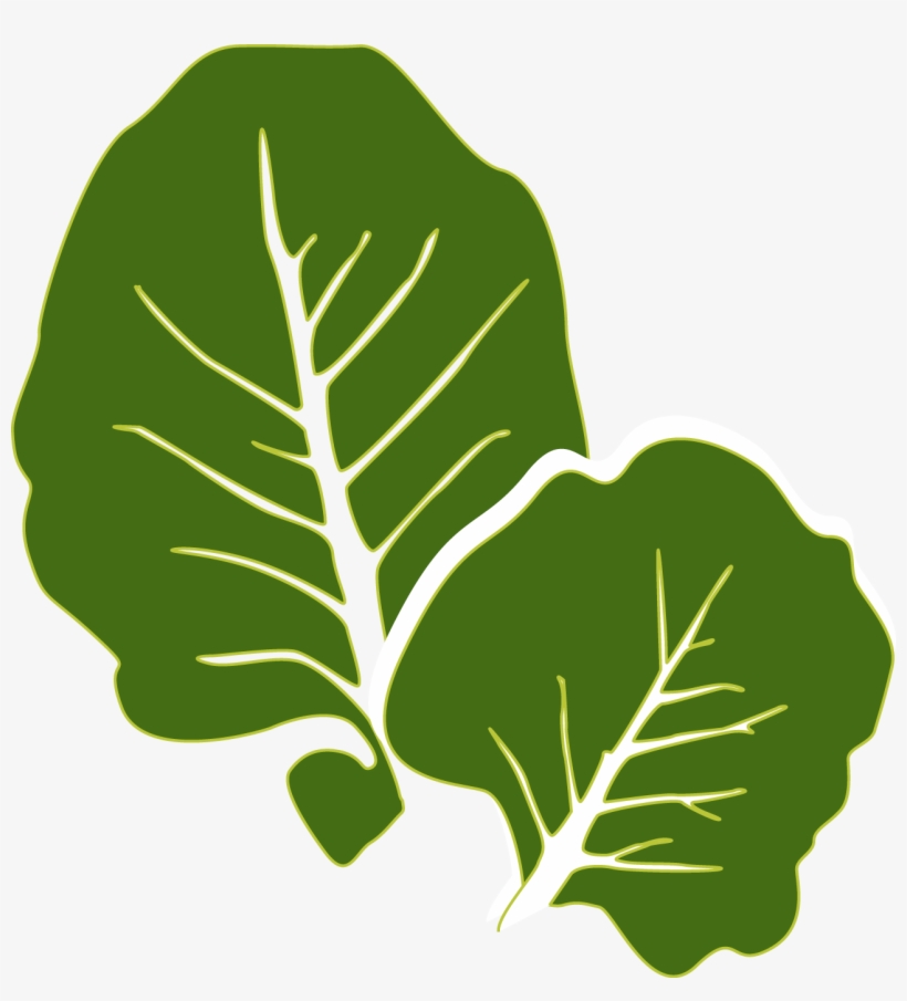 Collard Greens Leaf Vegetable Clip Art - Collards Clipart, transparent png #943668