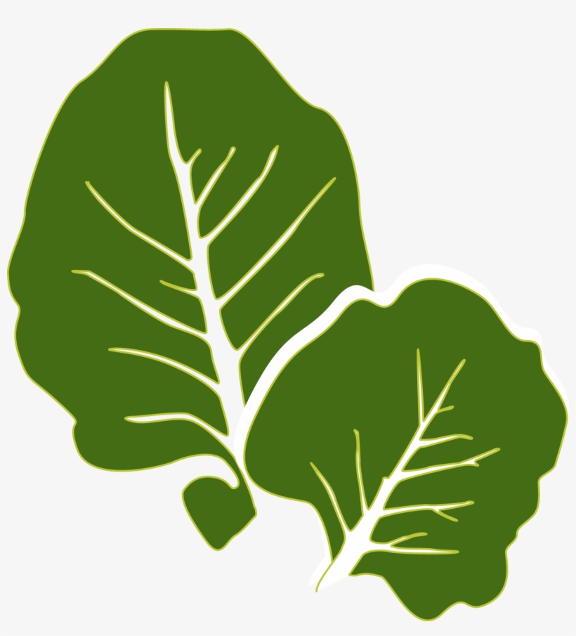Collard Greens Leaf Vegetable Clip Art Collards Clipart Free