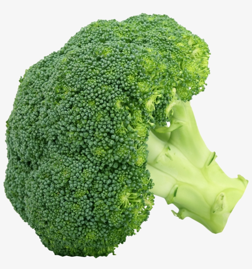 Broccoli Png Clipart Png Mart - Broccoli Png, transparent png #943798