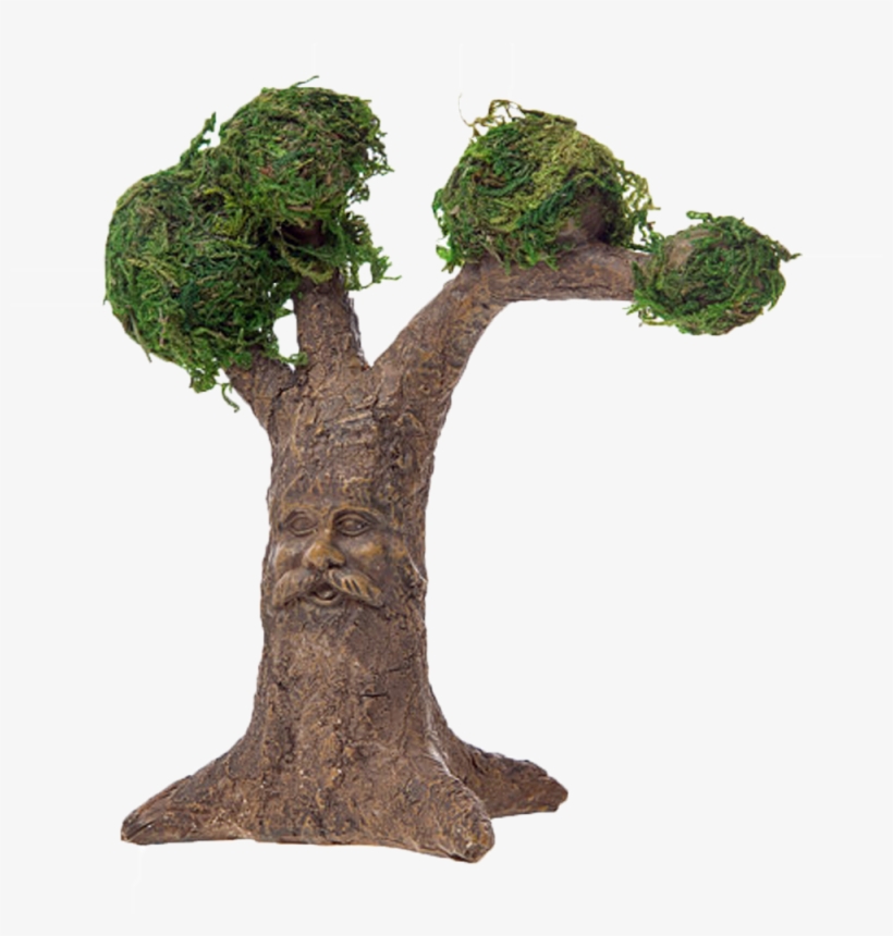 Darice Fairy Garden Tree With Carved Face, transparent png #945357