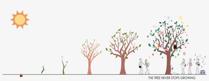 Still Evolving And Settled - Tree, transparent png #945386