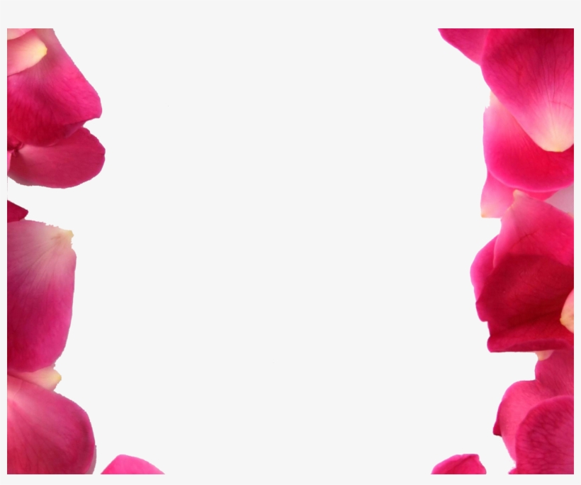 Rose Petals Frame Png, transparent png #945503
