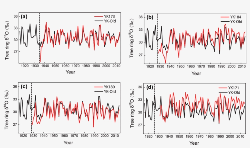 Growth Rings - an overview | ScienceDirect Topics