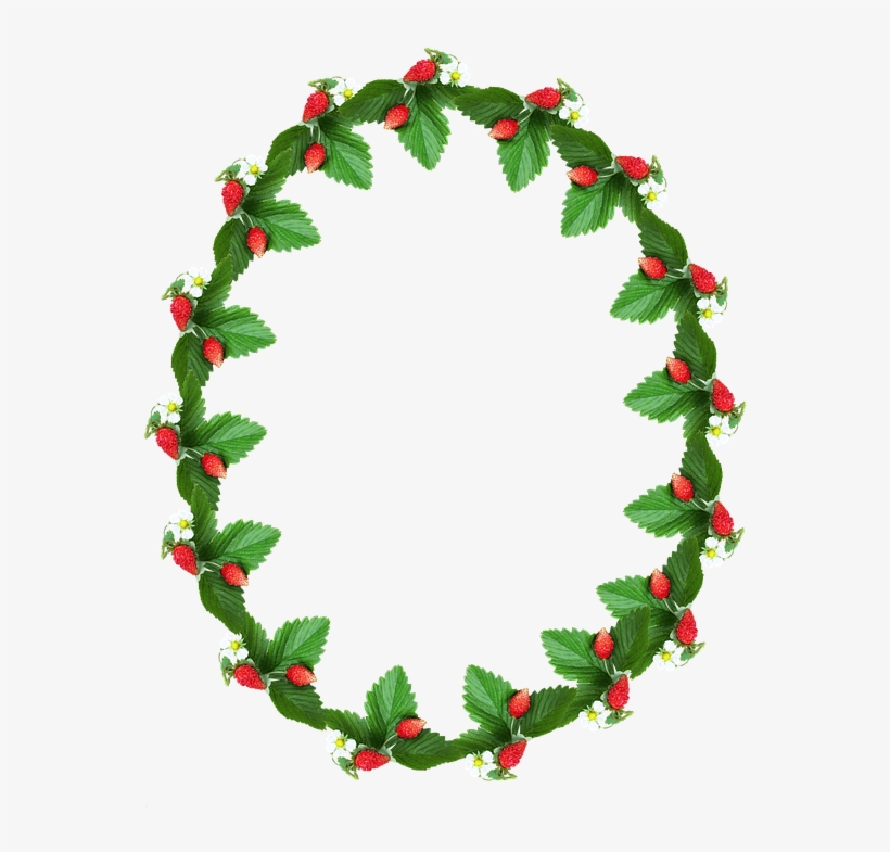 Frame, Border, Alpine Strawberry, Decorative - Mandalas A Crochet Para Colgar, transparent png #945794