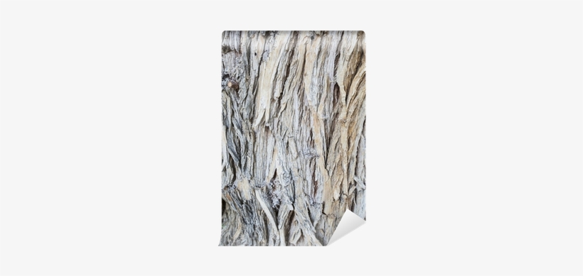Driftwood, transparent png #945925