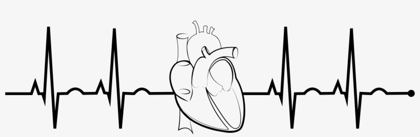 Ekg Realistic Heart Png Free Stock - Ekg Clipart, transparent png #947745