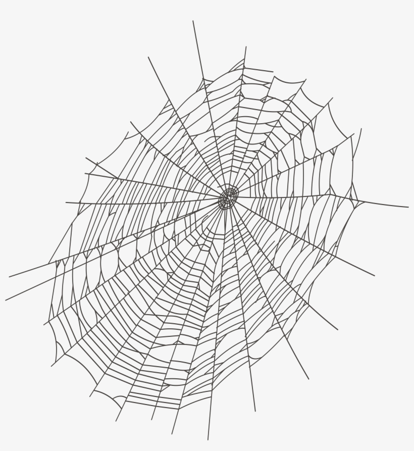 Halloween Large Spider Web Png Clipart - Transparent Spider Web Clipart, transparent png #948046
