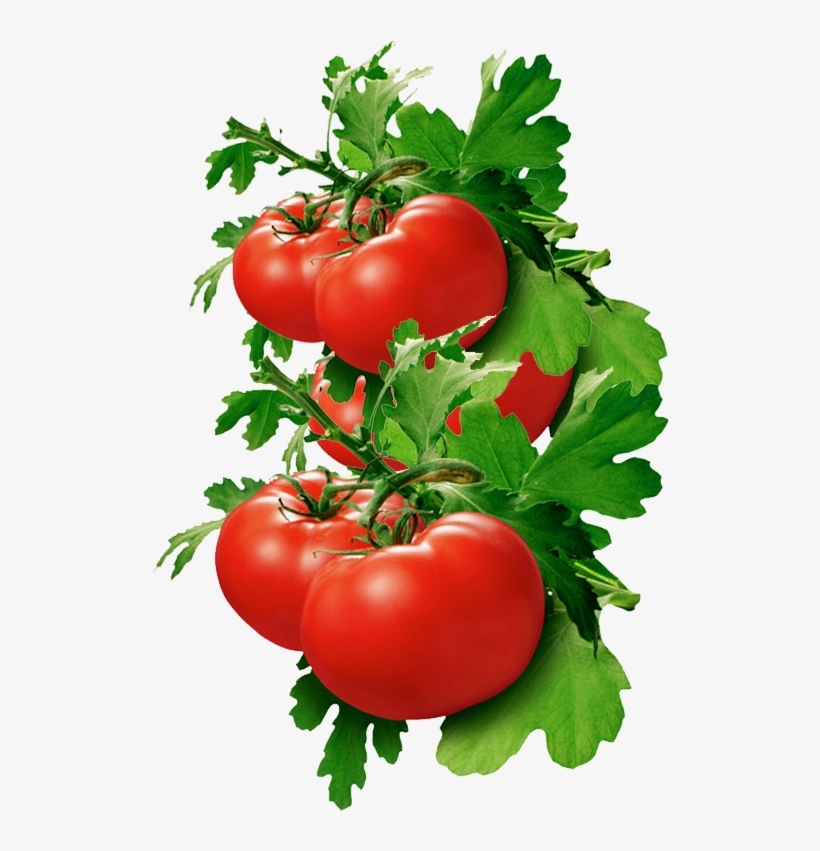 Tomatoes As Spices, transparent png #948094