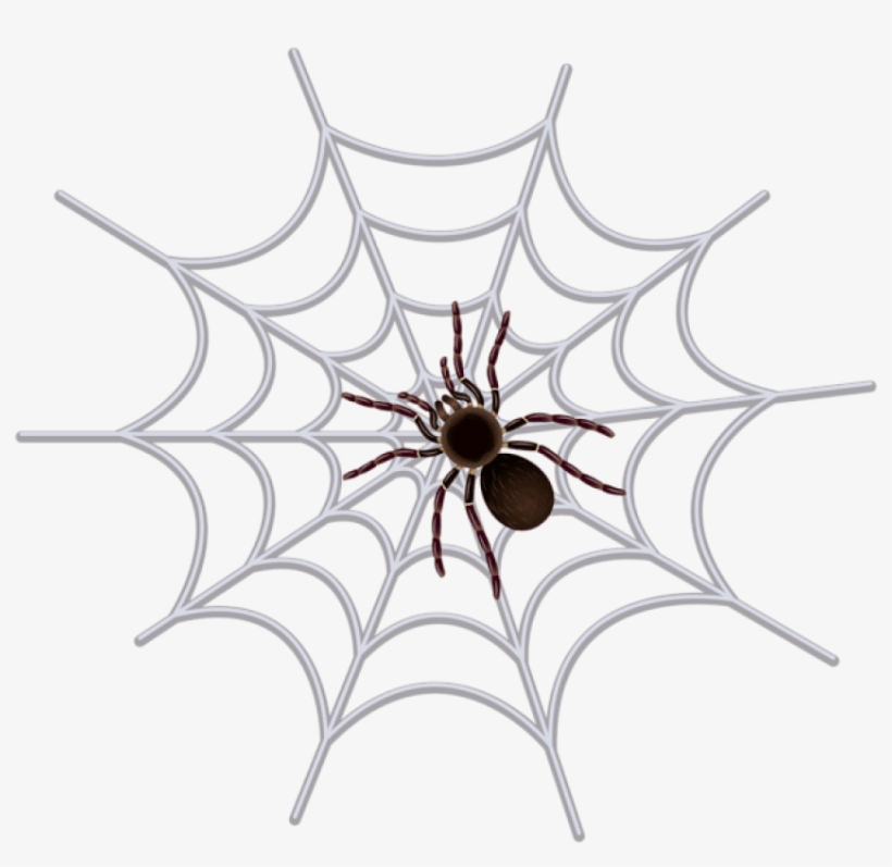 Black And White Download Spider Clip Art Image Halloween - Halloween Spider Web Png, transparent png #948180