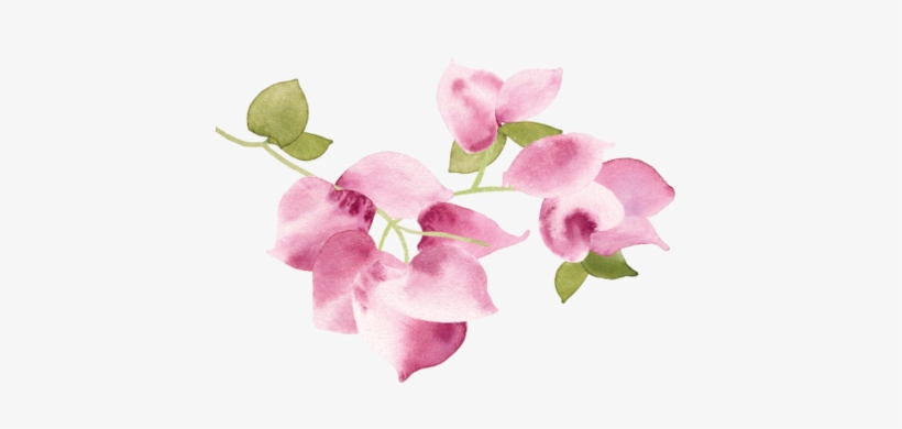 Save The Date, transparent png #948295