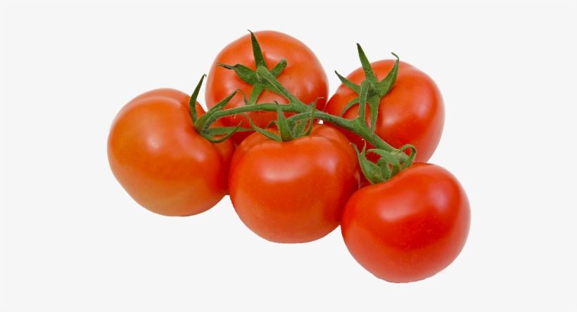 Tomato Plants Are A Common Garden Crop Prized By Home - Tomatoes On The Vine Transparent, transparent png #948485