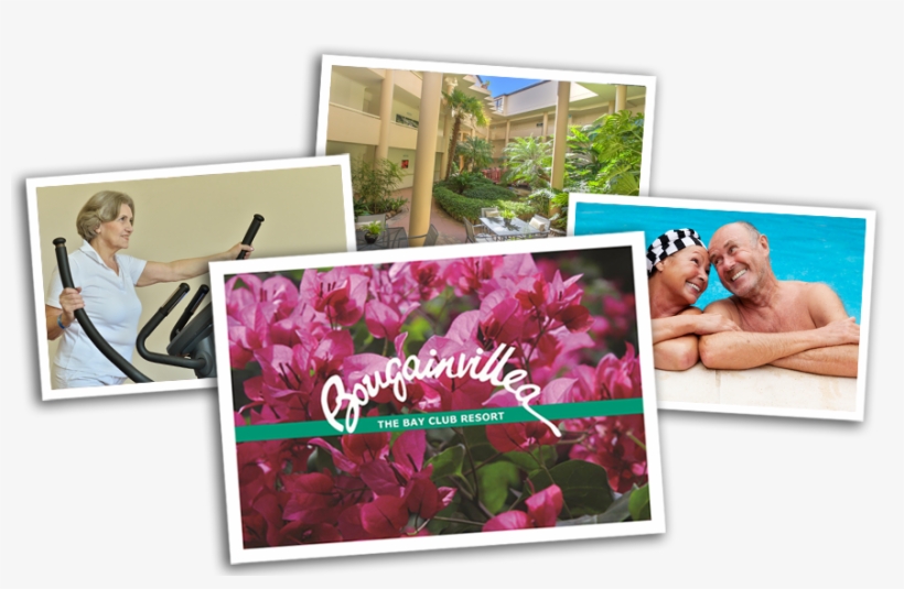 Bougainvillea Retirement Village Neutral Bay Sydney - Neutral Bay, transparent png #948505