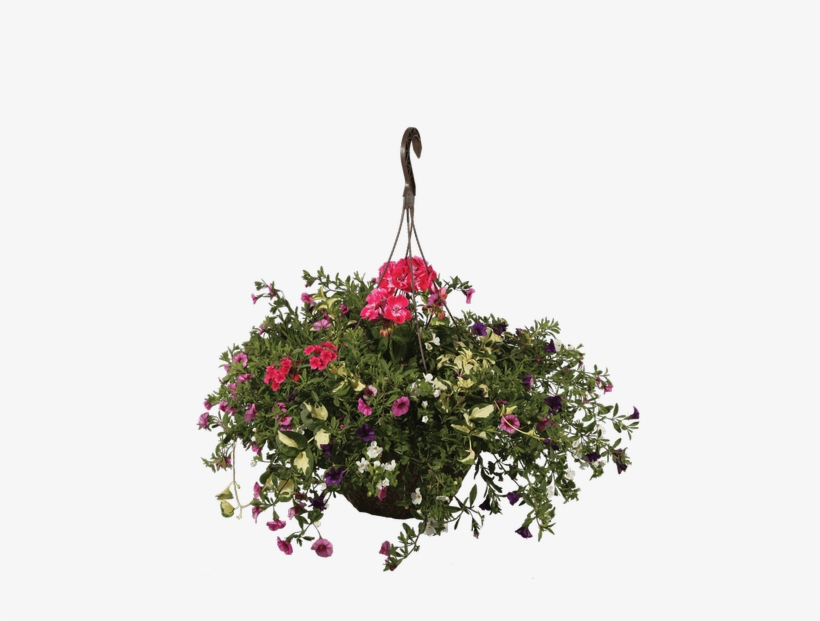 13"hanging Basket, Raspberry Smoothie - Petunia, transparent png #948574