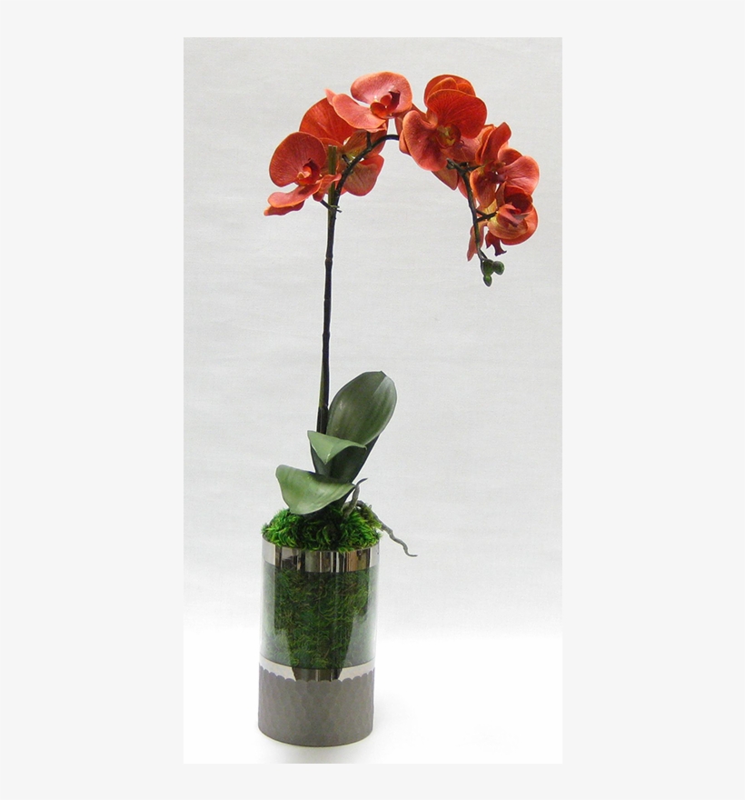 - Cylinder Glass Vase Smoke - Vase Smoke, transparent png #948578