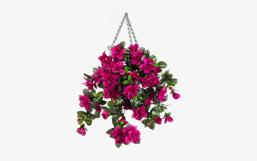 Photo Hanging Basket 2 Zpsc6iltszt - Silk Plants Direct Azalea Hanging Bush - Cerise - Pack, transparent png #948719