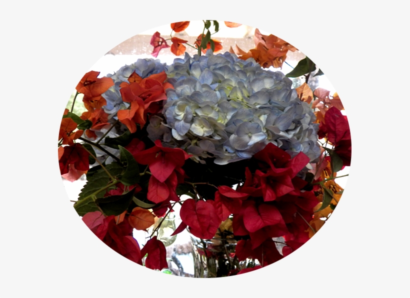 The Hydrangeas In The Top Photo Don't Grow Here - Artificial Flower, transparent png #948871