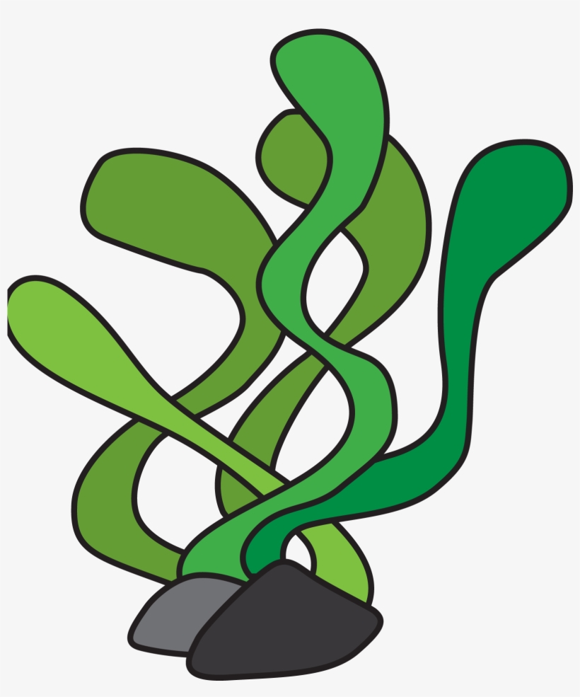 Free Fish Seaweed Cliparts, Download Free Clip Art, - Underwater Plant Clipart, transparent png #948945