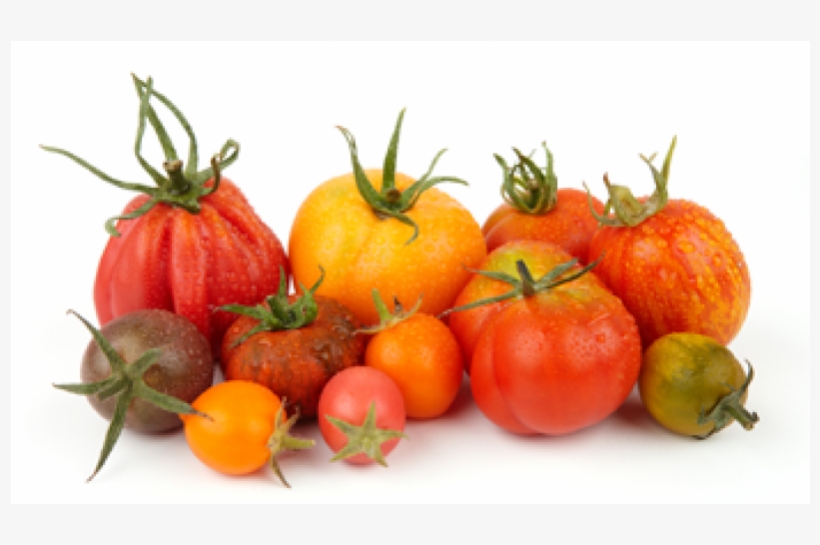 Heirloom Tomatoes Png, transparent png #948996