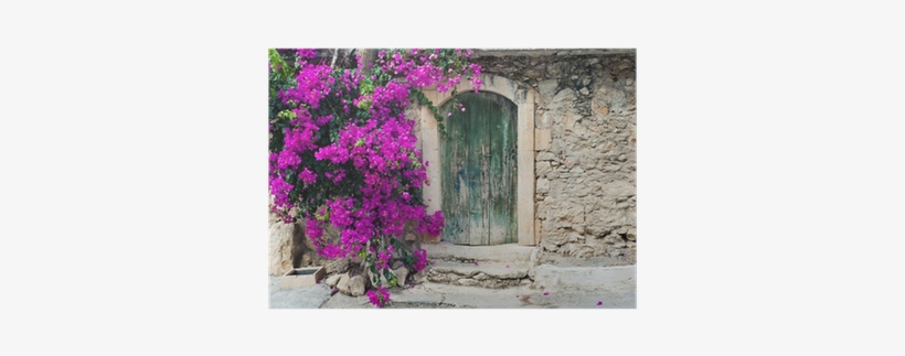 Doors Buganvilla, transparent png #948997