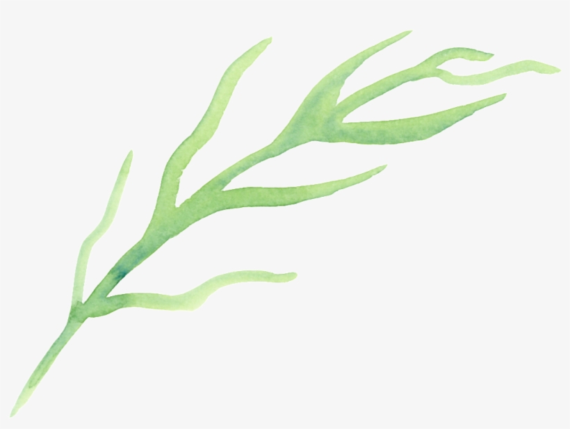 This Graphics Is Cartoon Transparent For Origami Seaweed - Portable Network Graphics, transparent png #949071
