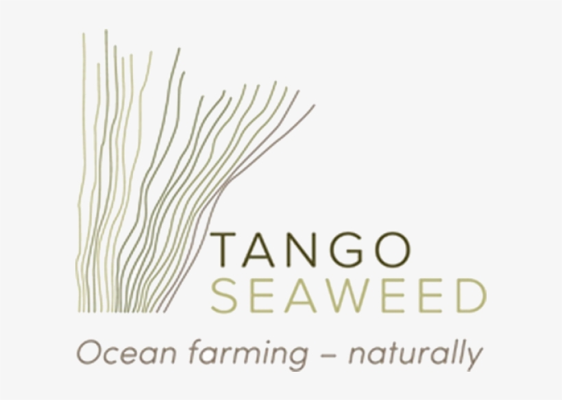 Tango Seaweed - Adobe Photoshop Essentials Course Sydney Cd, transparent png #949323