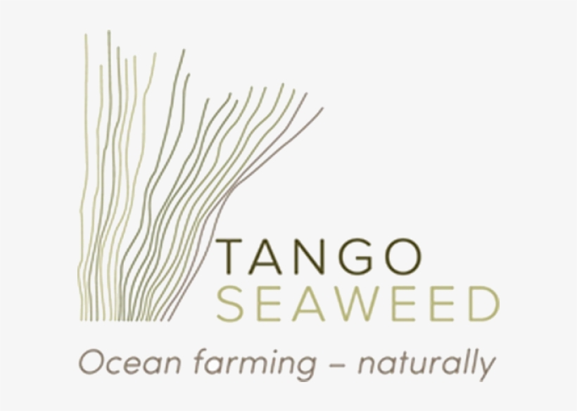 Tango Seaweed - Adobe Photoshop Essentials Course Sydney Cd, transparent png #949323