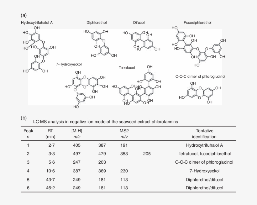 Characterisation Of Phlorotannins In The Seaweed Extract - Phlorotannin, transparent png #949624