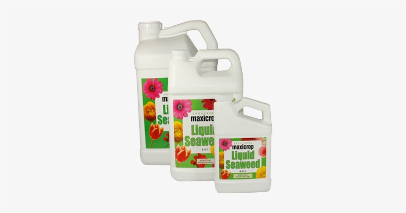 Maxicrop Liquid Seaweed 1 Gal - Maxicrop Liquid Seaweed, 0-0-1 - 2.5 Gal Jug, transparent png #949679