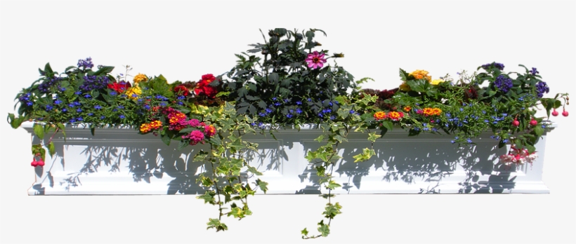 1/12 - Holiday, transparent png #949703