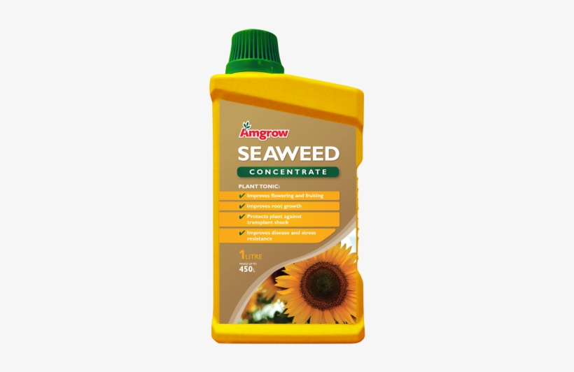 60222 Seaweed Conc 1l - Seaweed, transparent png #949749