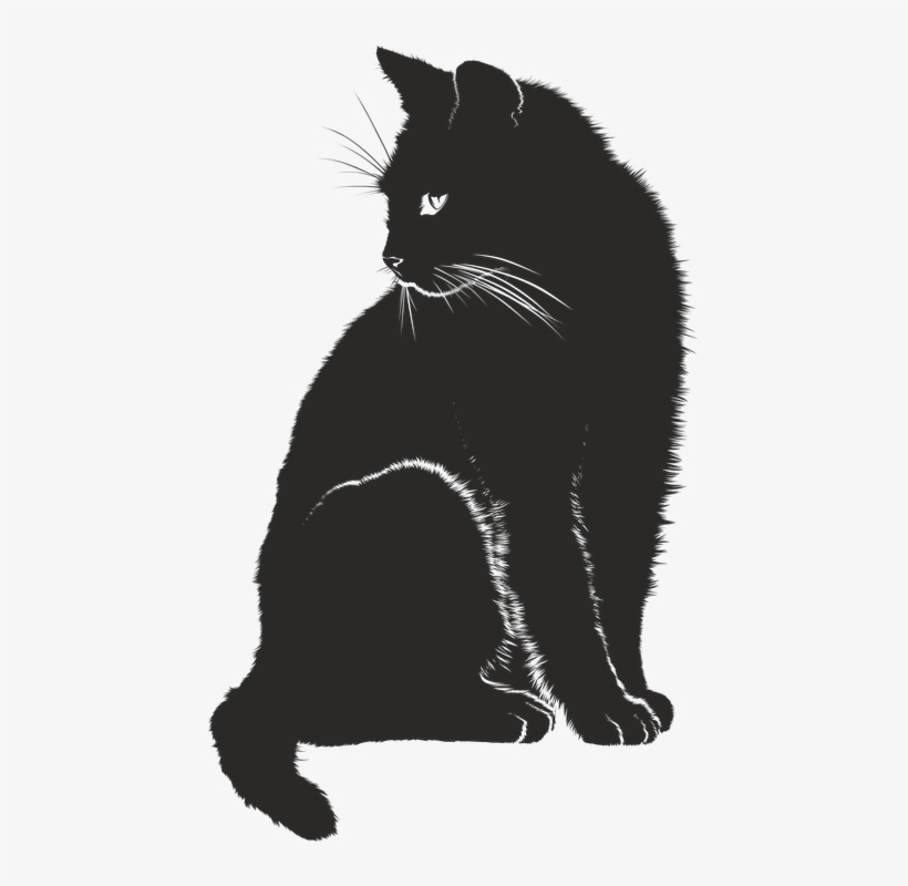 Image Result For Cat Vector - Time Spent With Cats Is Never Wasted, transparent png #949862