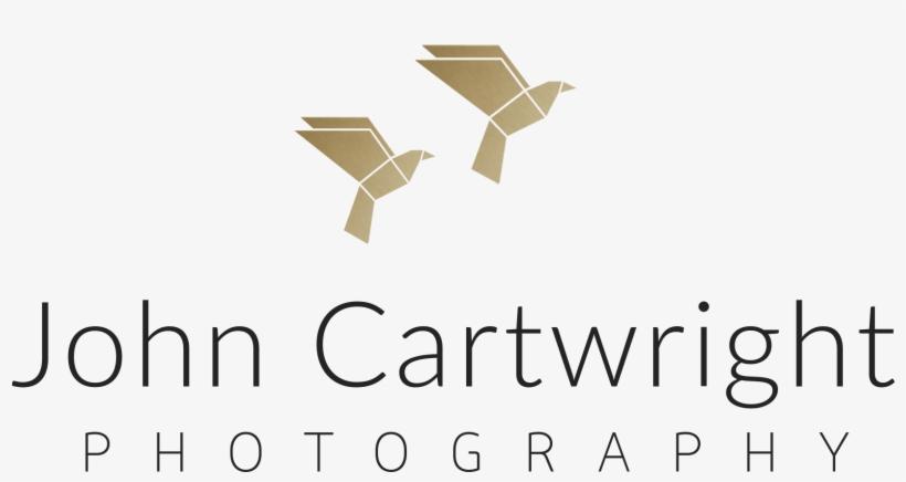 Jcp Logo John Cartwright Photography Png Jcp Logo - Best Egg, transparent png #9400504