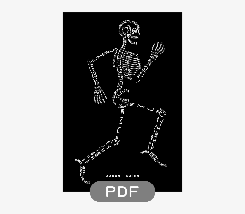 Aaron Kuehn Skeleton Typogram Pdf Facebook Icon Png - Aaron Kuehn Skeleton, transparent png #9402293