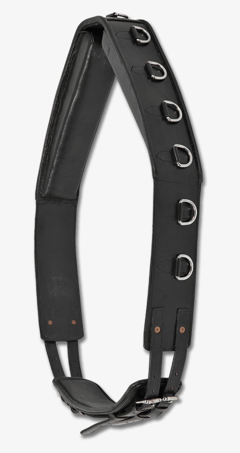 Surcingle, transparent png #9402836