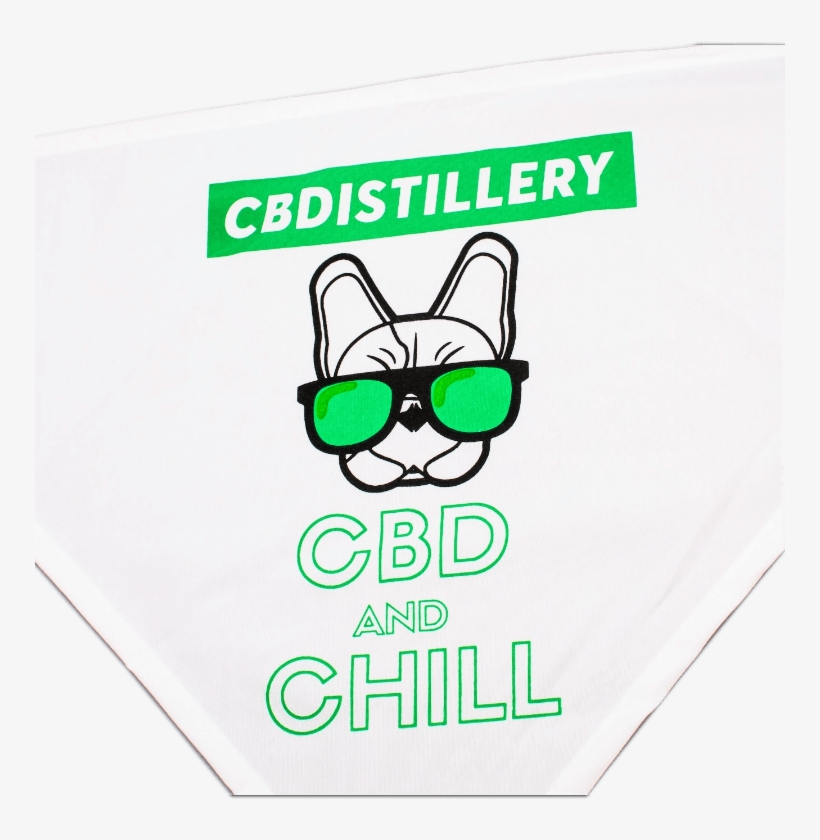 Banner, transparent png #9404869