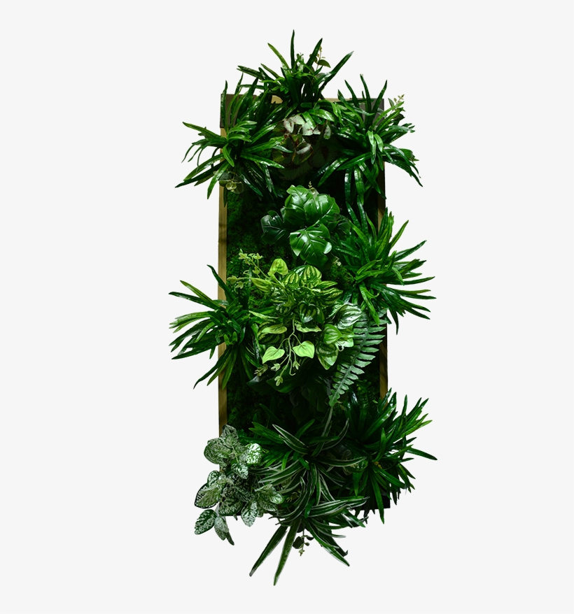 Green Wall Decoration With Frame Design Eolb11p001 - Houseplant, transparent png #9405000