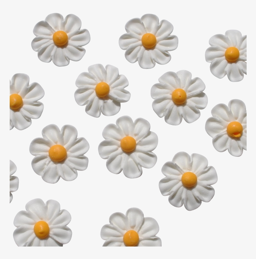 5" Royal Icing Classic Daisy - Chrysanths, transparent png #9405690