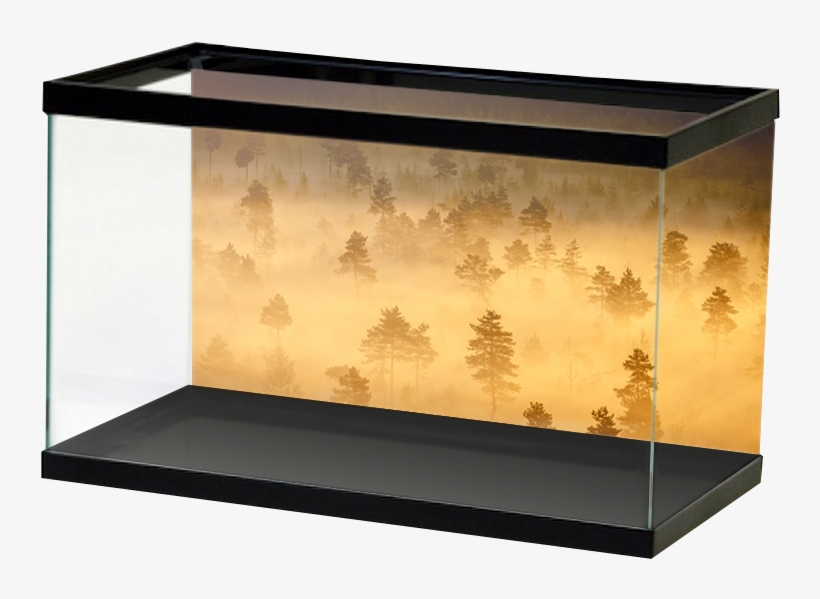 Specialty Mistytrees, transparent png #9406810