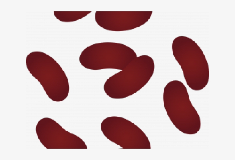 Bean Clipart Kidney Bean - Circle, transparent png #9407218