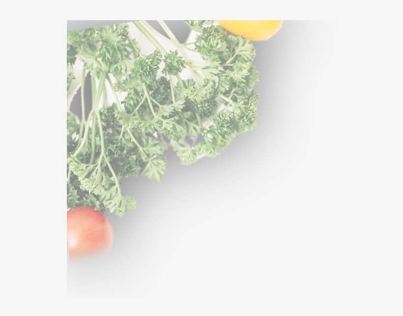 Italian Food In Commack,best Italian Food In Commack,fresh - Plum Tomato, transparent png #9407298