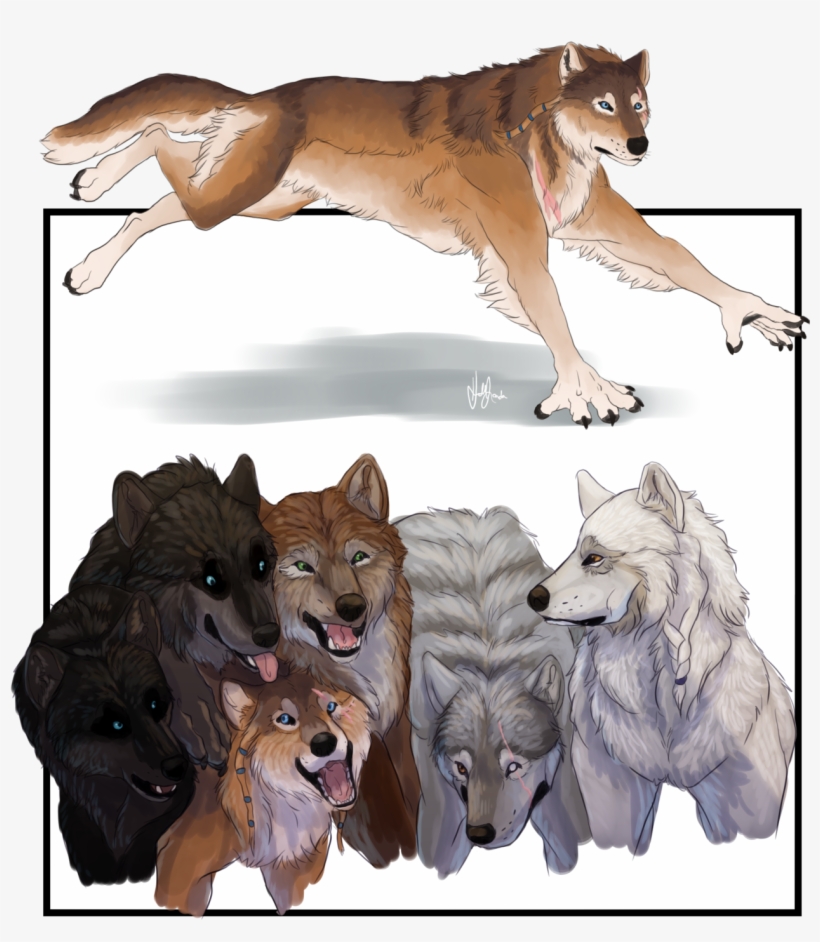 Teen Wolf Season 6 Concept - Wolfdog, transparent png #9407859